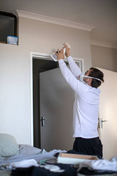 Trusted Knollwood, IL Mold Removal Experts