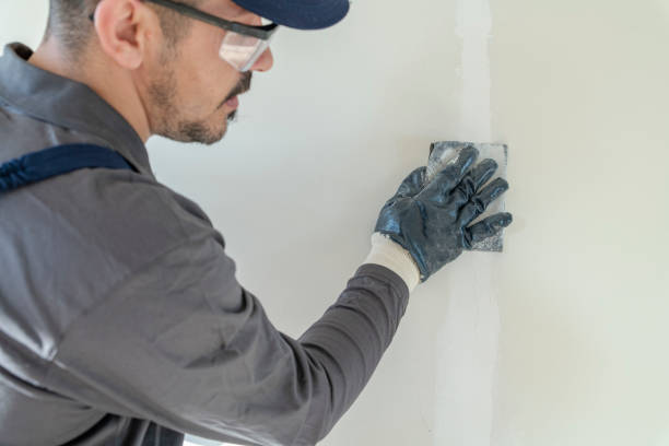 Best Crawl Space Mold Remediation  in Knollwood, IL