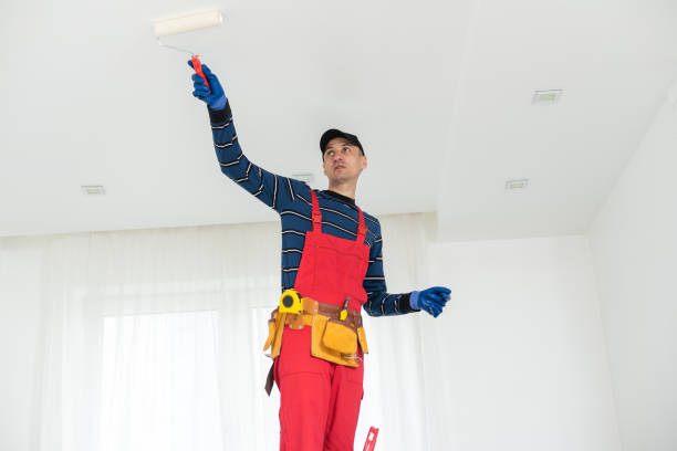 Best Comprehensive Air Testing for Mold Contaminants  in Knollwood, IL