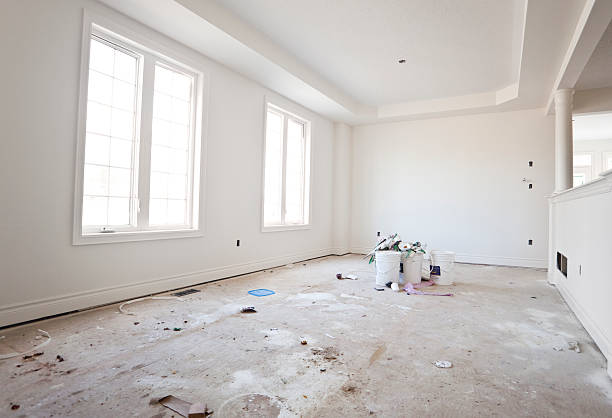 Best Mold Damage Restoration  in Knollwood, IL