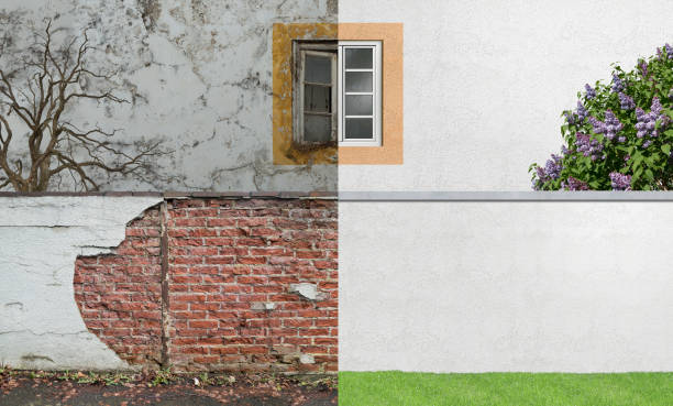 Best Basement Mold Removal  in Knollwood, IL